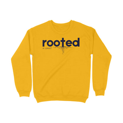 Rooted in christ, Unisex sweatshirt